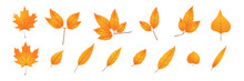 Orange Autumn Leaf Icon. Motley Yellow Leaf Glyph