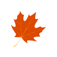 maple leaf icon silhouette. filled leaf glyph