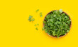 Fresh coriander leaves in bamboo basket on yellow background.