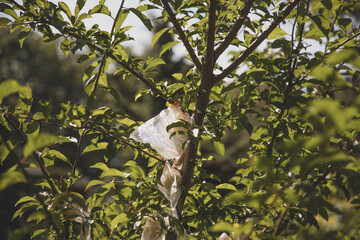 bird on tree