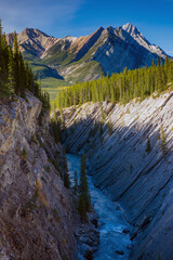 Wall Mural - Beautiful canyon scenery in Rocky Mountains, Alberta, Canada