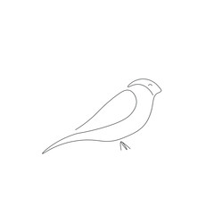 Wall Mural - Bird dove line drawing vector illustration