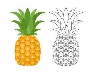 Wall Mural - Vector pineapple color cartoon illustration and outline black and white icon.