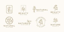 Set Of Feminine Botanical Vector Signs Or Logo Templates Design