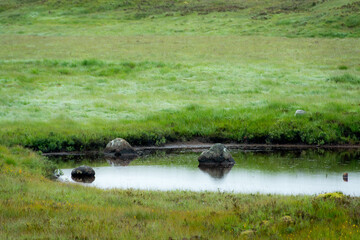 Wall Mural - Landscape along the West highland Way in Scotland. Three rocks emerge from the swamp in the rain, somewhere on Rannoch Moor,