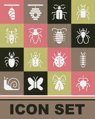 Wall Mural - Set Spider, Centipede, Insect fly, Chafer beetle, Cockroach, Beetle deer, Butterfly cocoon and Larva insect icon. Vector