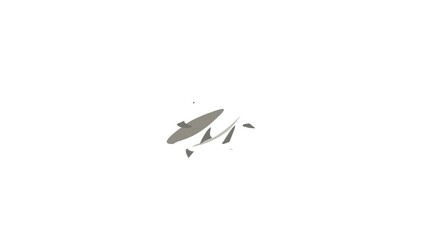 Wall Mural - Shark icon animation isometric best object on white backgound