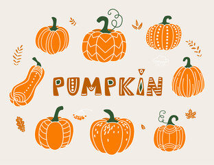 Pumpkin vector illustration in flat naive simple modern style. Autumn decorative gourd for thanksgiving, halloween, harvest design isolated on white background