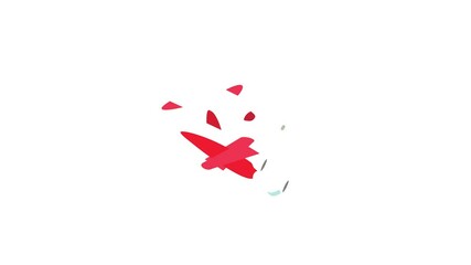 Wall Mural - Red plane icon animation isometric best object on white backgound