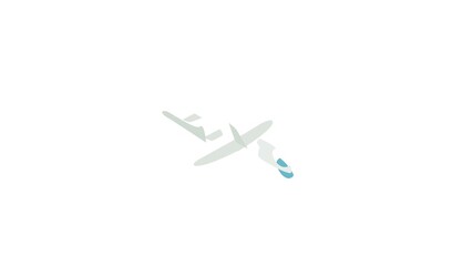 Wall Mural - Grey plane icon animation isometric best object on white backgound