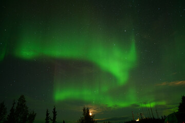 Canvas Print - Natural light display of aurora with dynamic patterns of brilliant lights