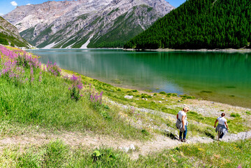 Canvas Print - Lago di Livigno 3