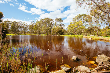 Poster - Darebin Parklands in Melbourne Australia