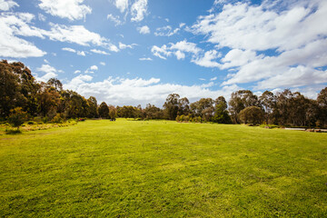 Wall Mural - Darebin Parklands in Melbourne Australia