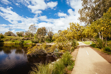 Wall Mural - Darebin Parklands in Melbourne Australia