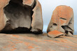 remarkable rocks at kangaroo island (australia) 