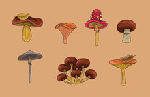 A Set Of Autumn Mushrooms. Ink Outline, Red Orangeand Brown Colors. Champignon, Honey Agaric, Amanita, Chanterelle, Porcini, Toad Stool, Milk Mushroom.