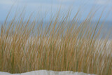 Fototapeta  - Łagodny, jesienny pejzaż nadmorski. Pastelowe kolory. Trawy na wydmach. W tle spokojne morze i czyste, niebieskie niebo