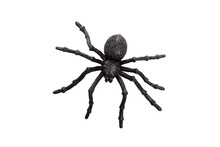 Black Rubber Spider Toy Isolated On A White Background. Black Spider Toy