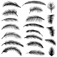 Tropical palm tree fronds svg vector illustration collection