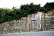 Door in an overgrown stone wall