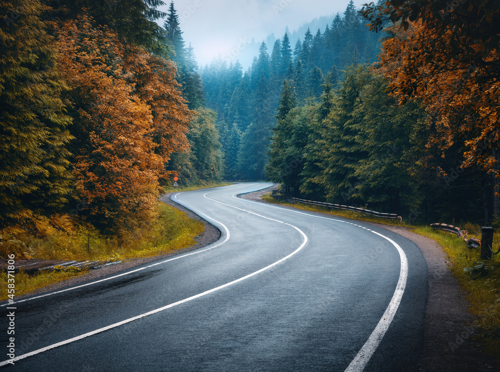 Road in autumn foggy forest in rainy day. Beautiful mountain roadway ...