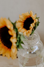 Vertical Shot Of A Glass Jar With Sunflowers