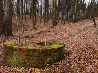 Poster - Beautiful shot of semi-built brick well wall covered in moss surrounded by trees and endless leaves