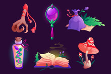 Witch Items Magic Mirror, Spell Book, Bird Foot And Sack With Dry Herbs, Fly Agaric Mushroom, Bottle With Snake. Assets Elements For Game, Isolated Wizard Stuff, Cartoon Vector Illustration, Icons Set