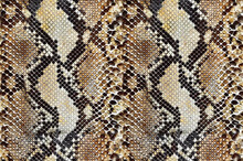 Background Of Snake Skin Texture Pattern Seamless
