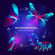 Metamorphosis Concept. Butterfly Life Cycle Banner. 3D Vector Illustration With Abstract Stereo Neon Silhouettes Of Insects - Caterpillar, Chrysalis And Butterfly Transformation Process Stages
