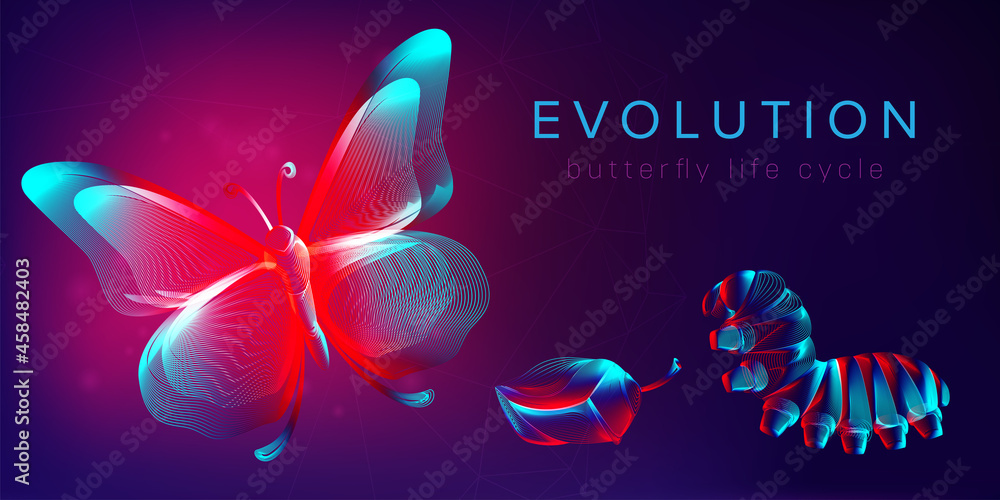 Evolution of a butterfly life cycle horizontal banner. 3D vector ...