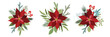 Christmas set with Poinsettia Flowers and Christmas Floral Elements