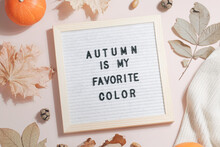 Felt Letter Board And Text Autumn Is My Favorite Color And Leaves, Pumpkins, Sweater On Beige Background