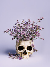 Lilac Field Flowers In A Human's Skull That Serves As A Pot On Lavender Pastel Background. Creative Halloween Floral Concept. Dead Head, Gothic Art, And Romantic Details. Fashion Minimal Art.