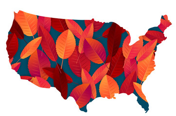 Wall Mural - Autumn illustration in a shape of the USA filled with red and orange leaves. United States country fall season. Vector illustration.