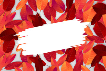Wall Mural - Fall background template with red and orange leaves. Grunge brush stroke for text. vector illustration.