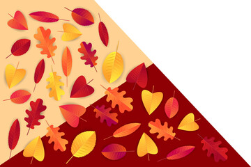 Wall Mural - Autumn background template for business promo. Fall design concept for advertisement. vector illustration.