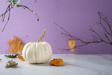 Autumn Still Life With White Pumpkin, Halloween Concept
