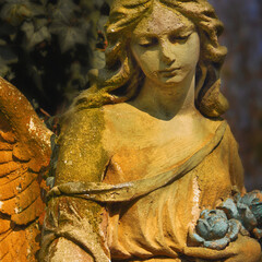 Fototapete - Vintage image of sad beauutiful angel on a cemetery against the background of leaves