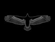Soaring eagle stencil. Eagle engraving. Stencil art. Line drawing. Black background. Black and white. Flying bird.
