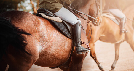 A rider in the saddle on a bay horse with a black long tail quickly jumps around the arena next to a rival on a sunny day. Equestrian sports. Horse riding. Equestrian life.