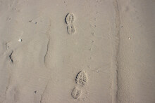 Human Footprints Next To Bird Footprints In The Sand