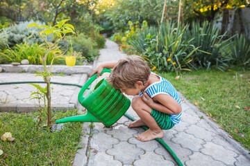 Little boy in garden