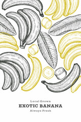 Wall Mural - Hand drawn sketch style banana banner. Organic fresh fruit vector illustration. Retro exotic fruit design template