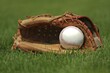 Baseball glove with a ball in it