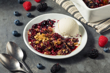 Wall Mural - Homemade Berry Crumble Dessert