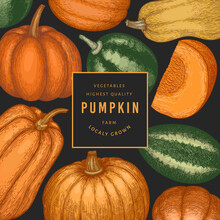 Pumpkin Color Design Template. Vector Hand Drawn Illustrations. Thanksgiving Backdrop In Retro Style With Pumpkin Harvest. Autumn Background.
