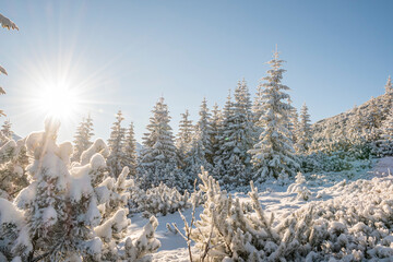 Wonderful winter morning in Western Tatras, Poland. Sunlight over the hills and forests. Christmas mood. Selective focus on the trees, blurred background.