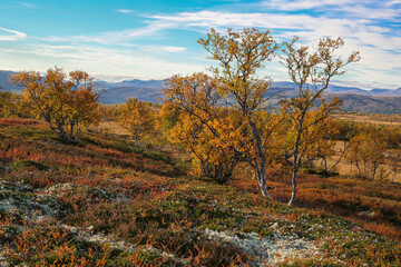 Sticker - Forollhogna national Park